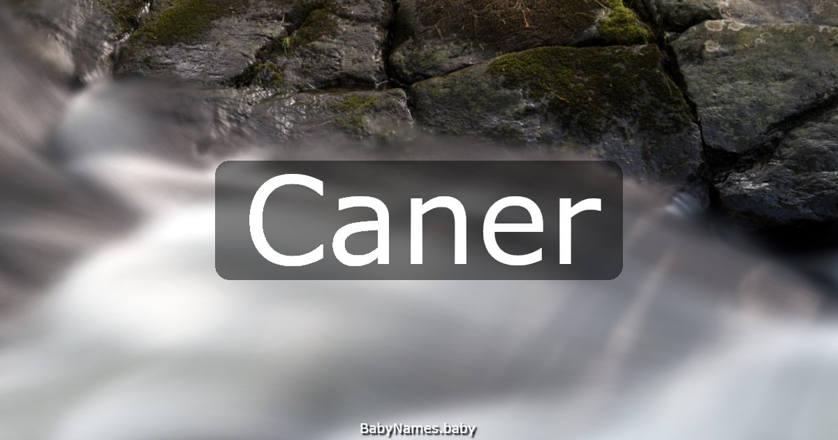 Caner