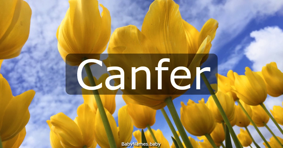 Canfer