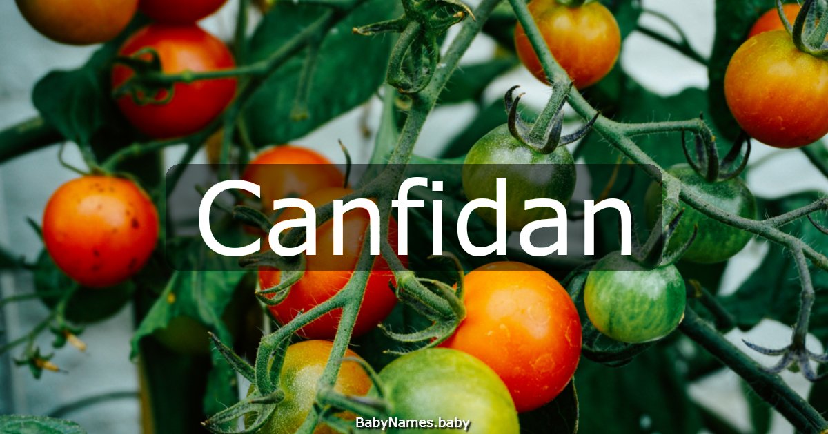 Canfidan