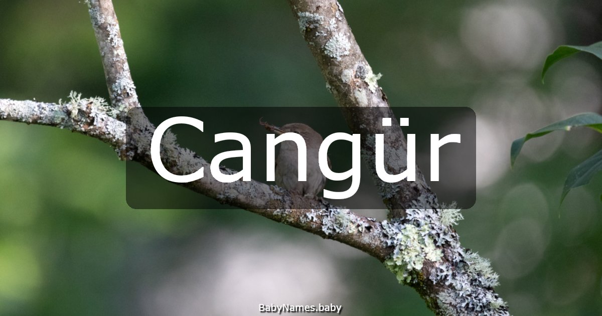 Cangür