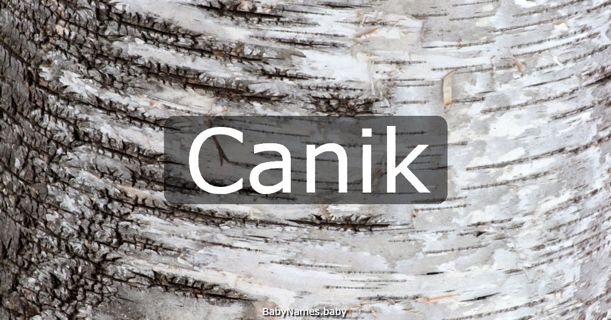 Canik