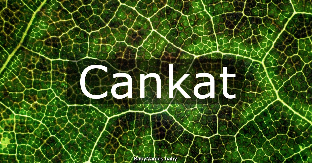 Cankat
