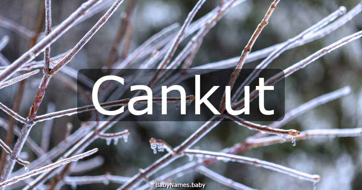 Cankut