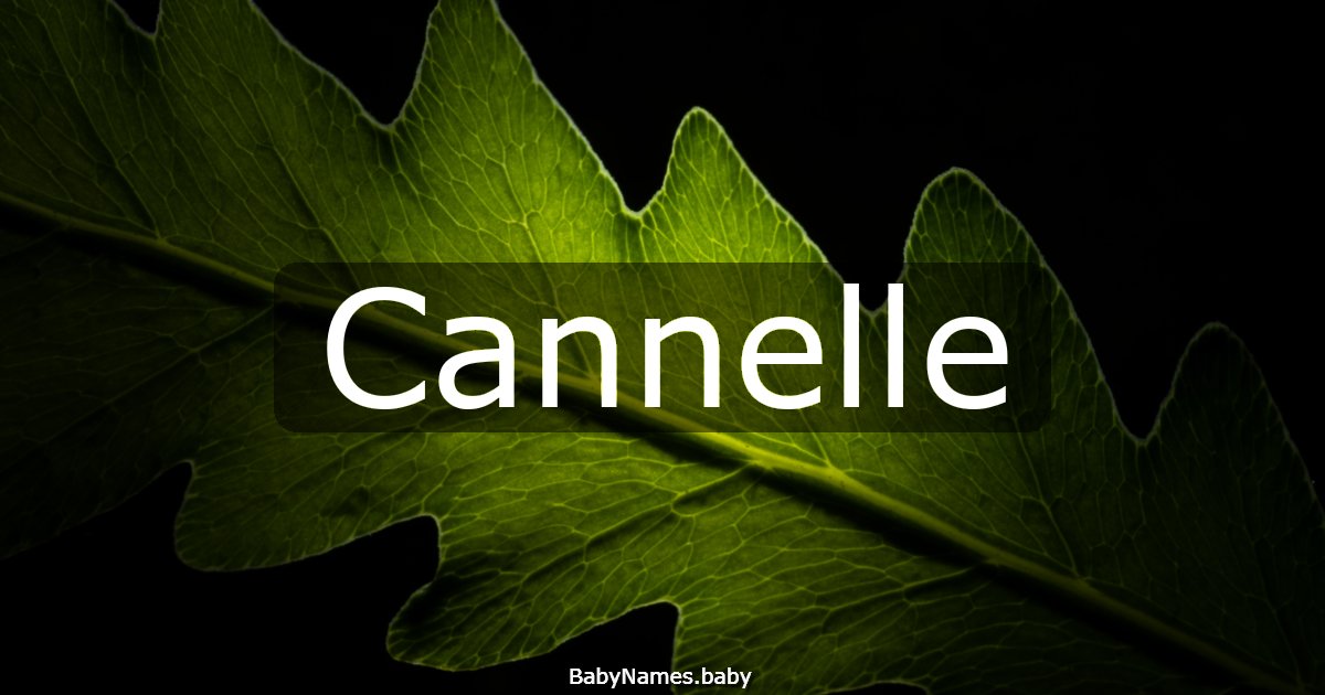 Cannelle