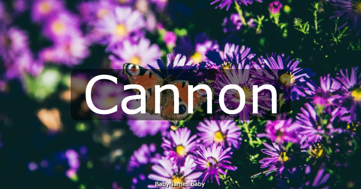 Cannon