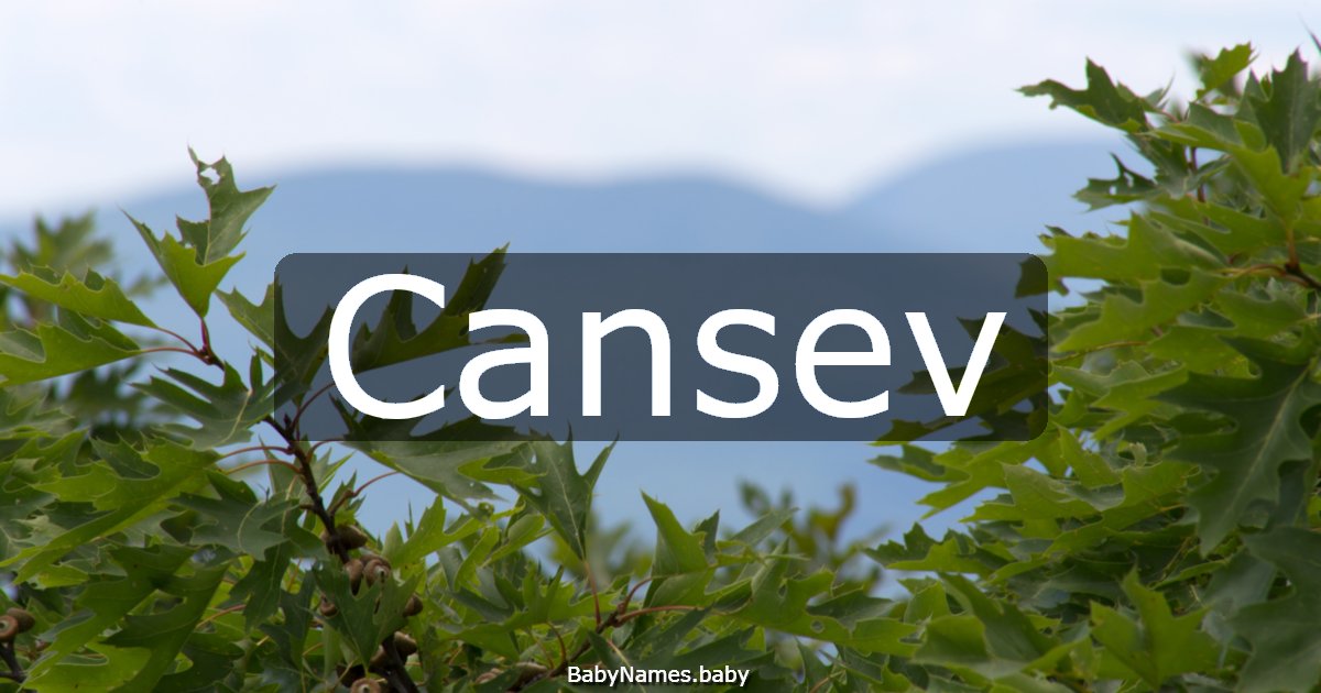 Cansev