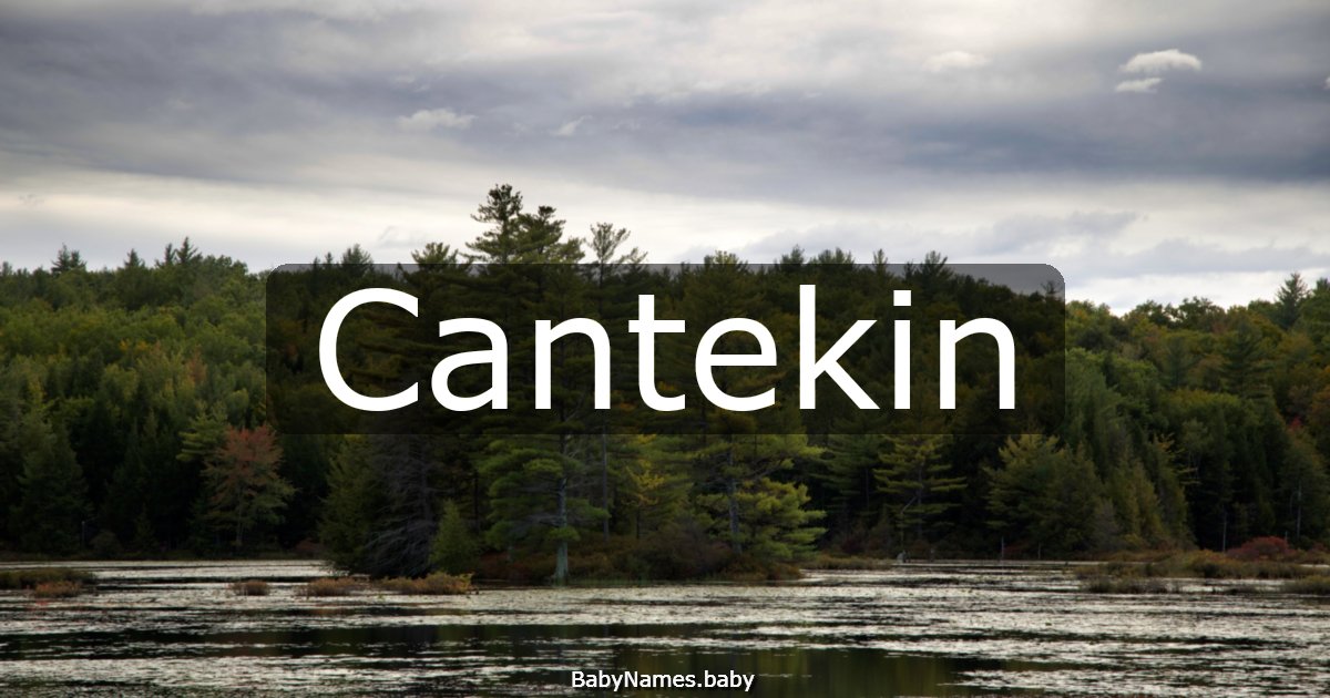 Cantekin