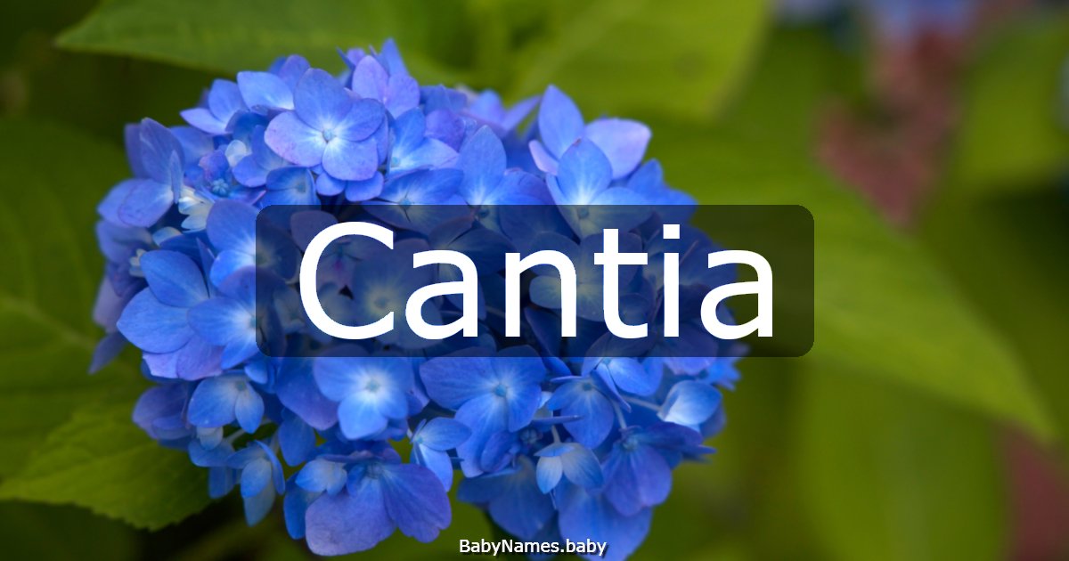 Cantia