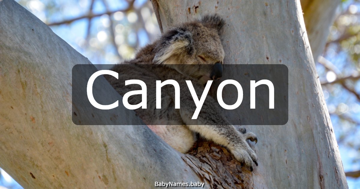 Canyon