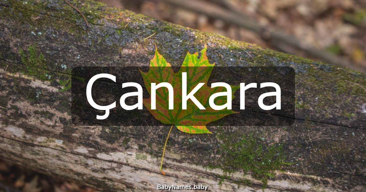 Çankara