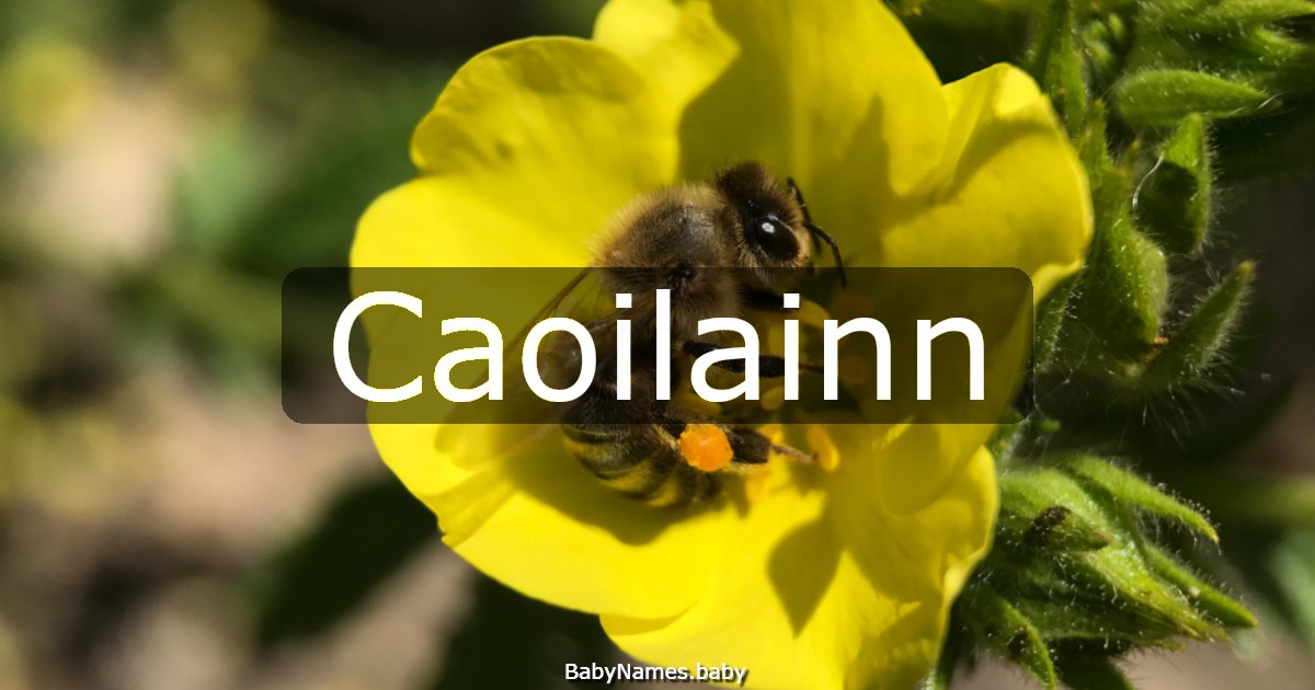 Caoilainn