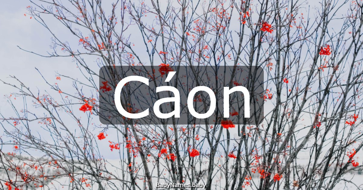 Cáon