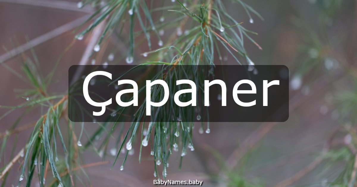Çapaner