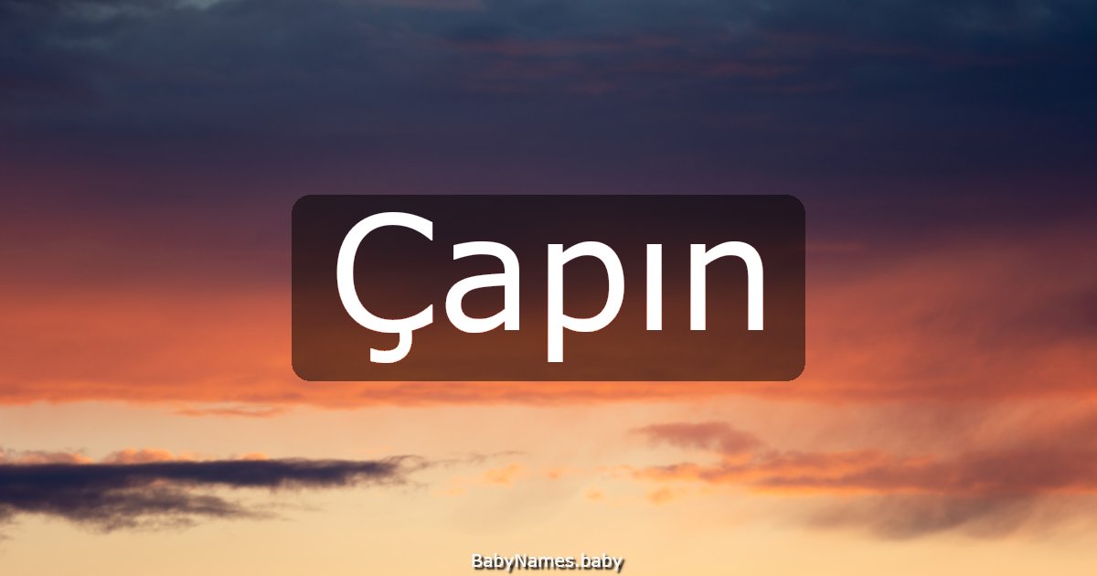 Çapın