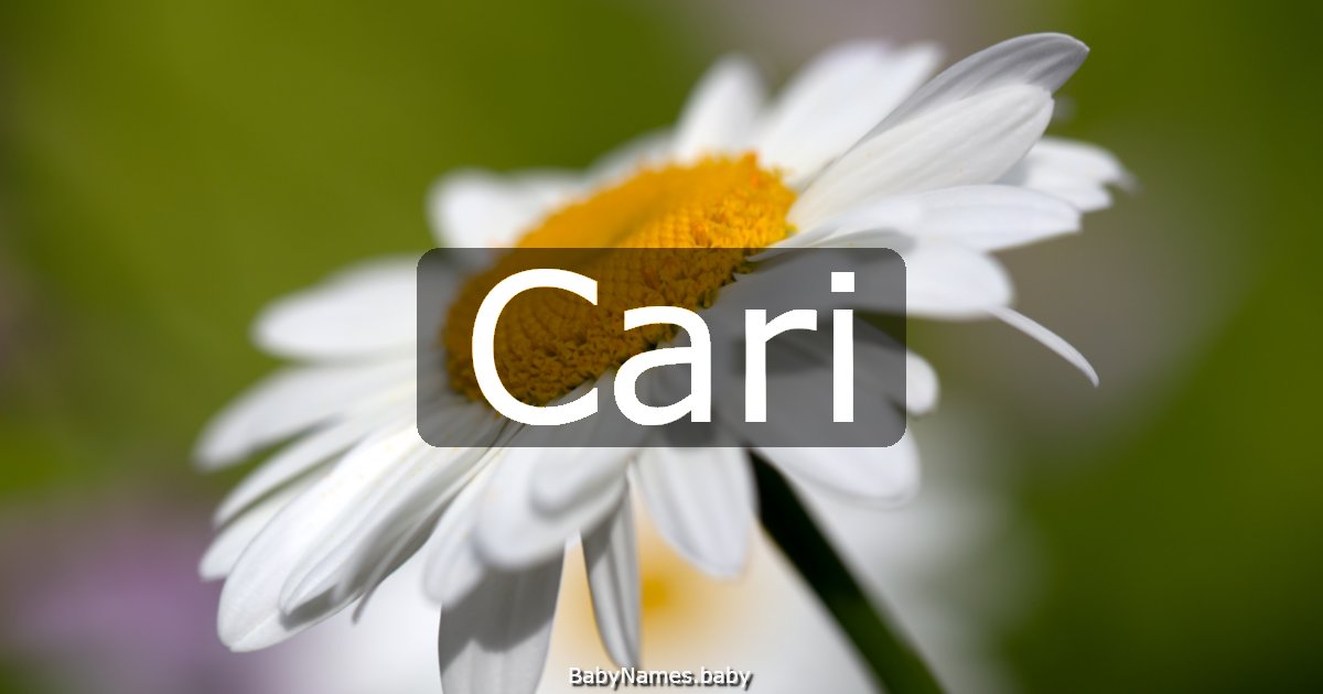 Cari