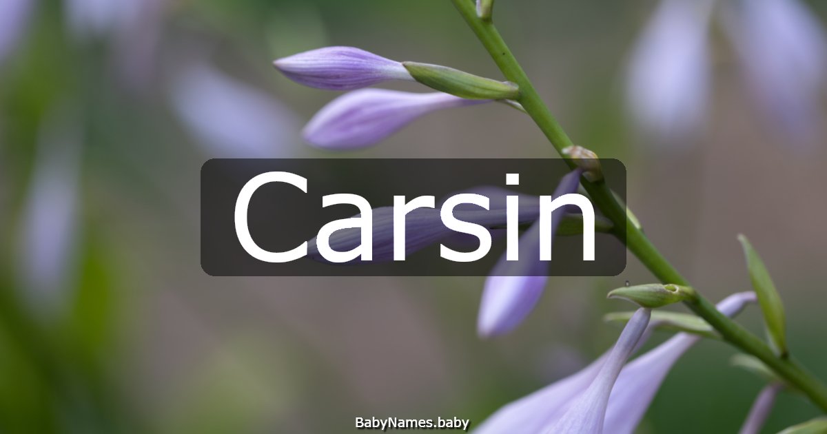Carsin
