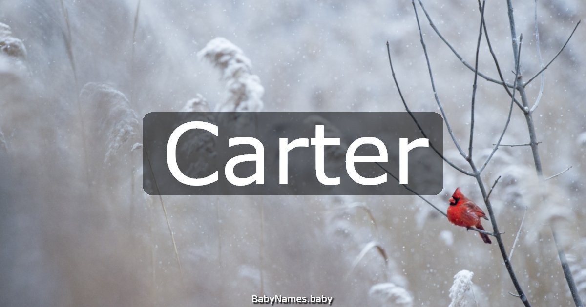 Carter