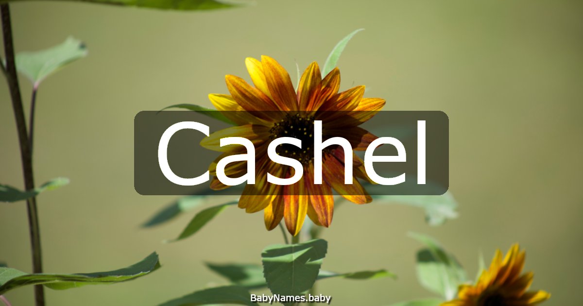 Cashel