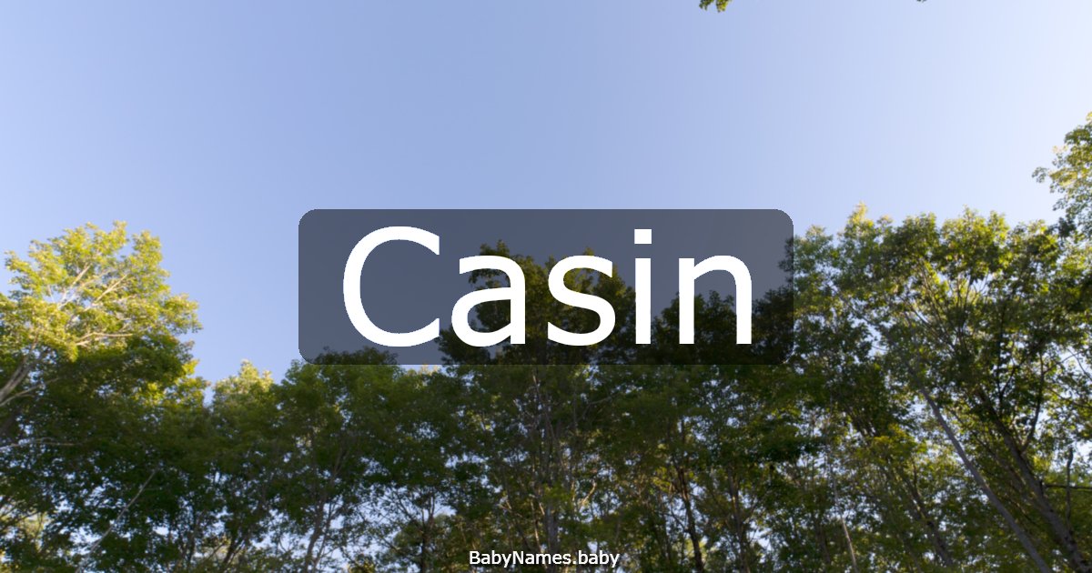 Casin