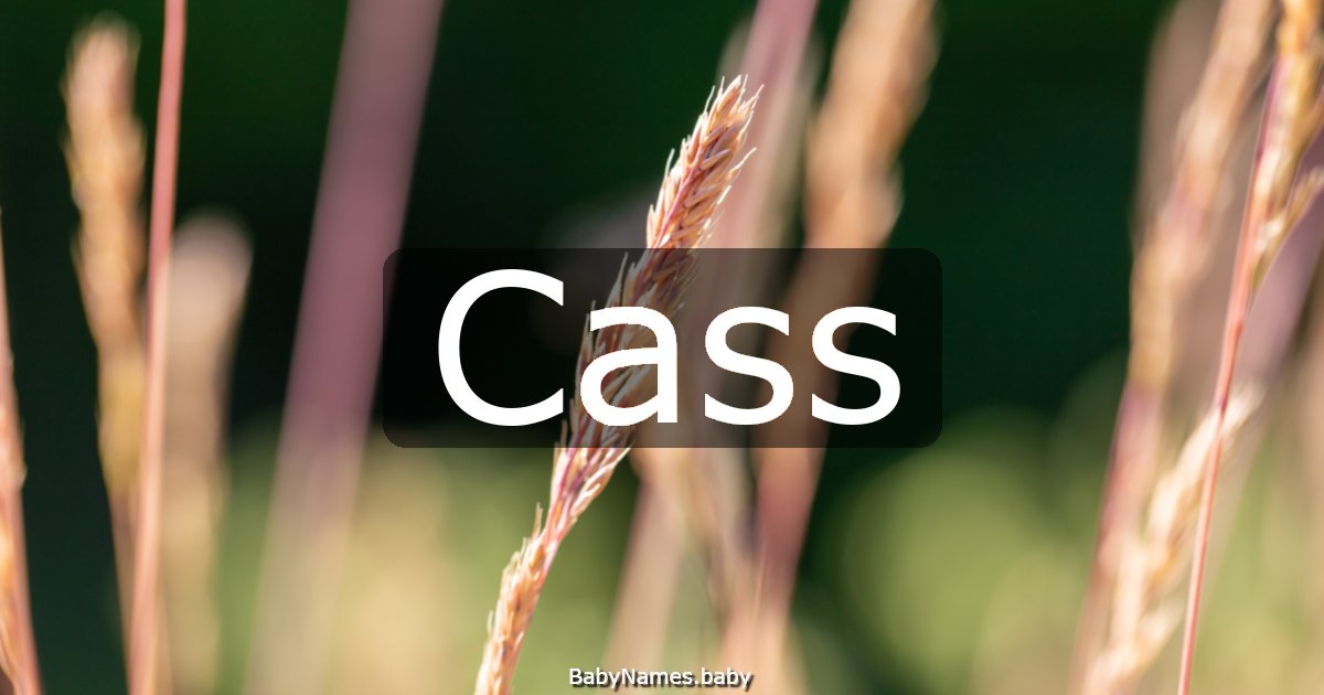 Cass