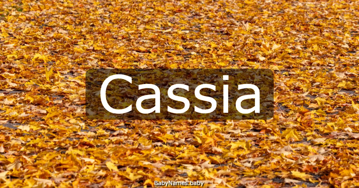 Cassia