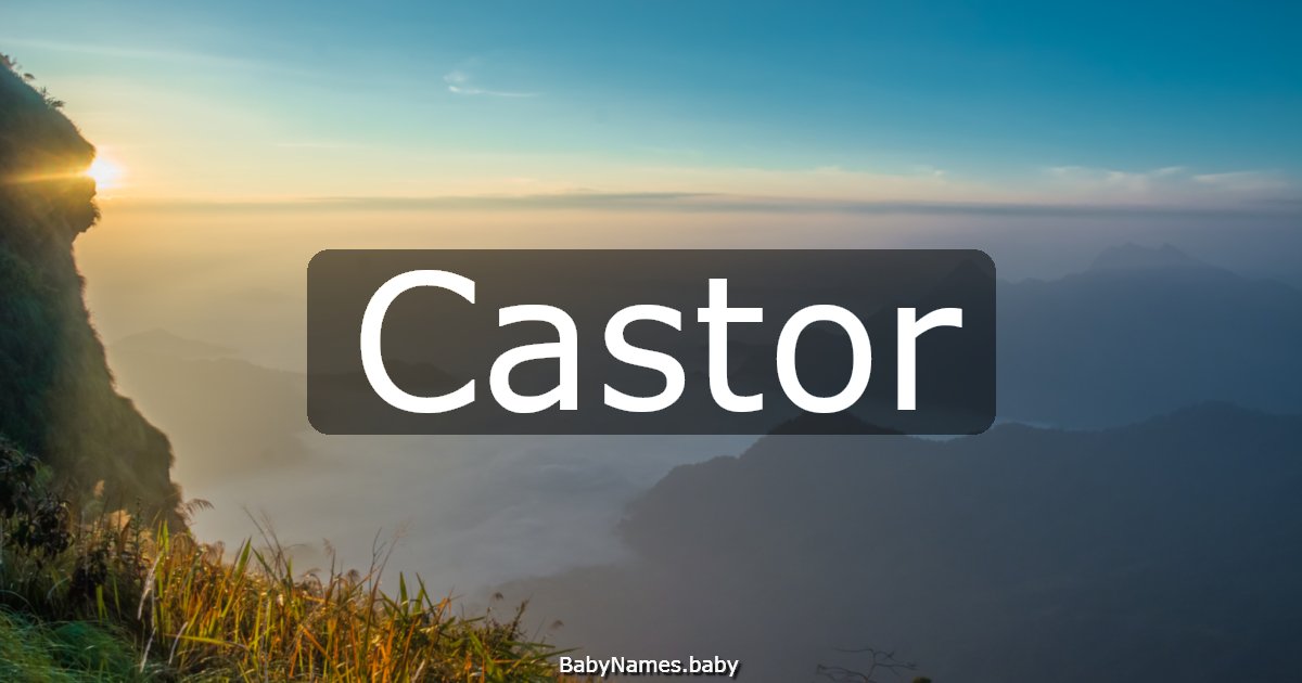 Castor