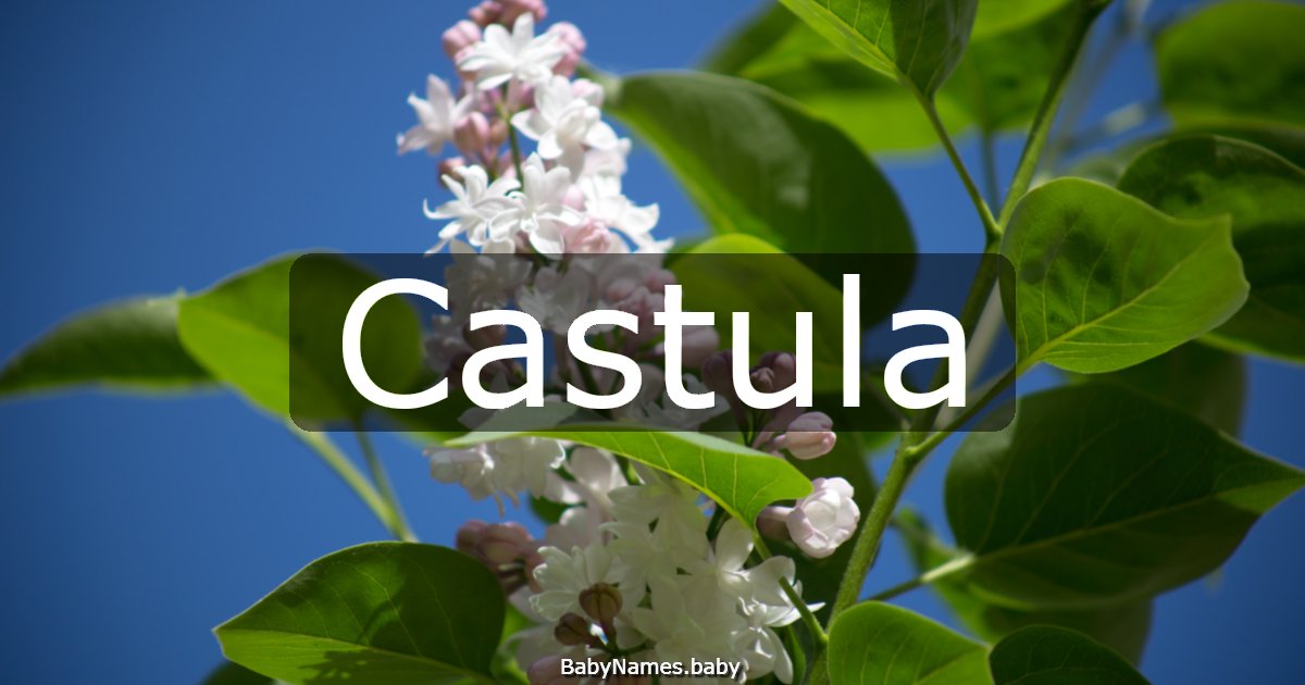 Castula
