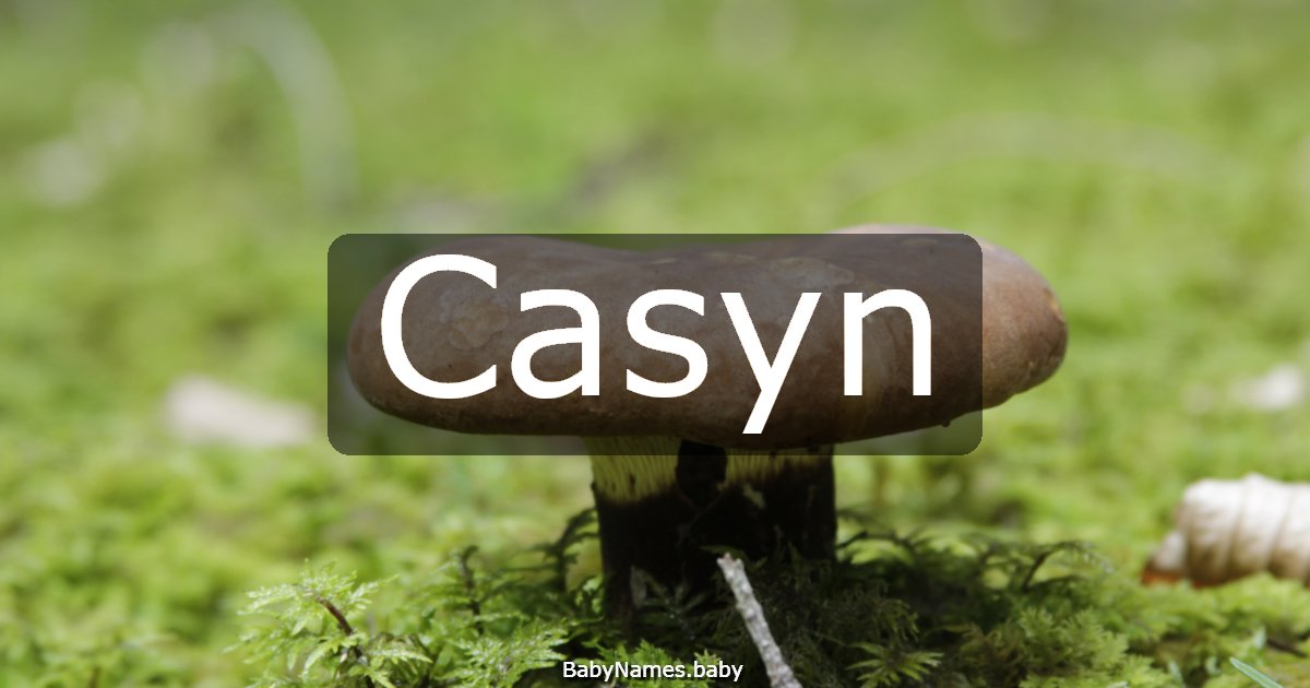 Casyn