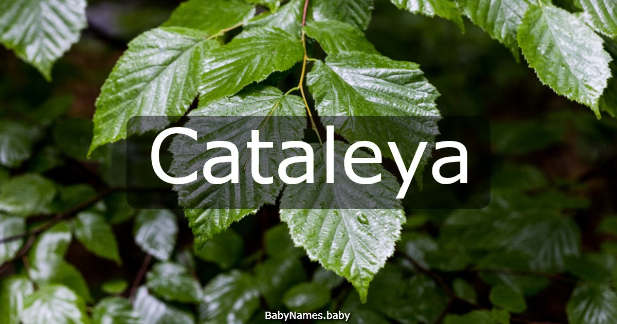 Cataleya