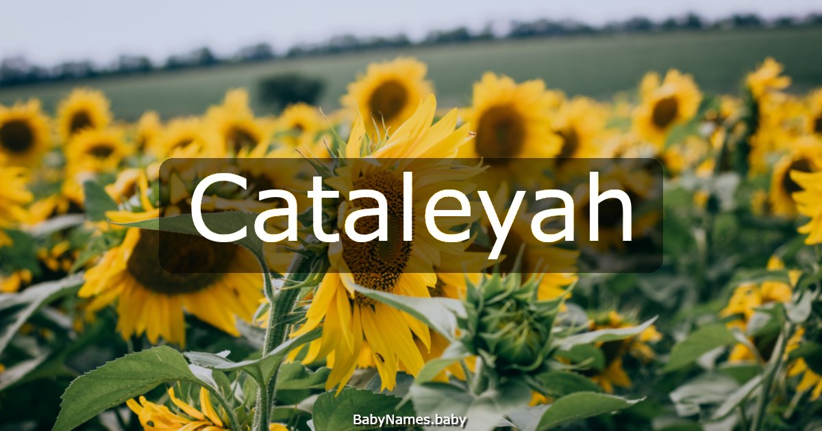 Cataleyah