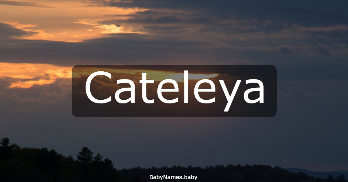 Cateleya