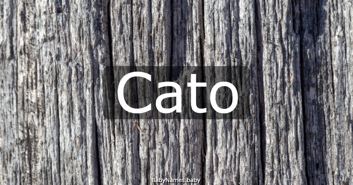 Cato