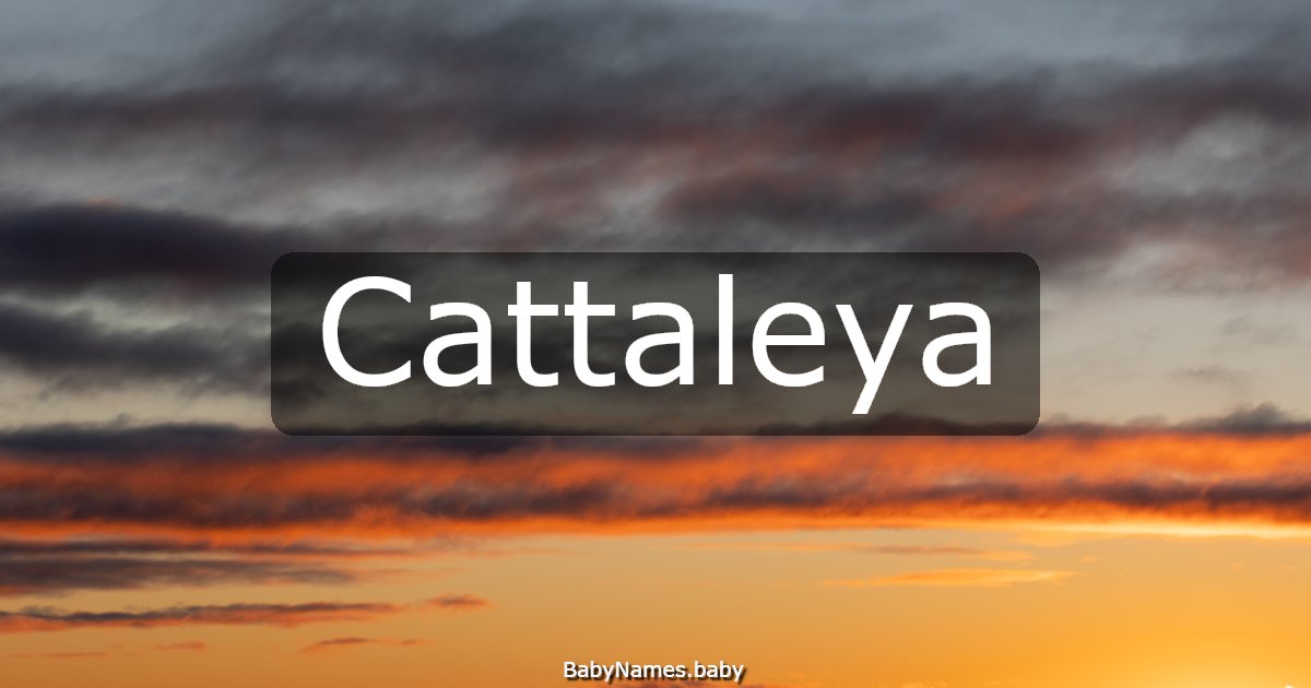 Cattaleya