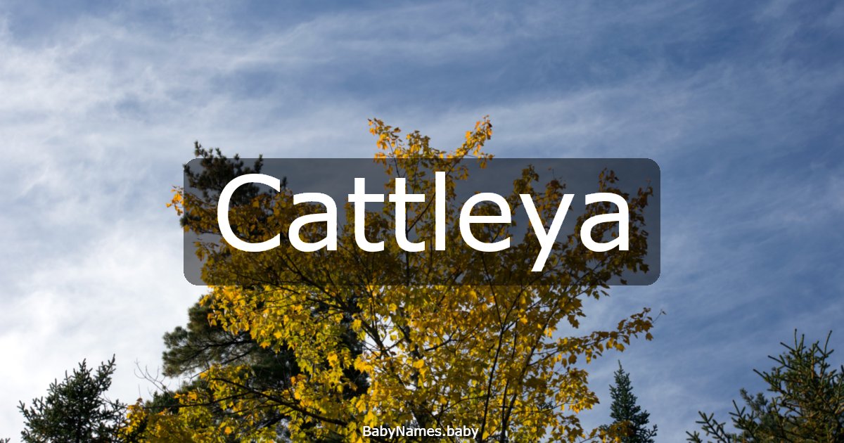 Cattleya