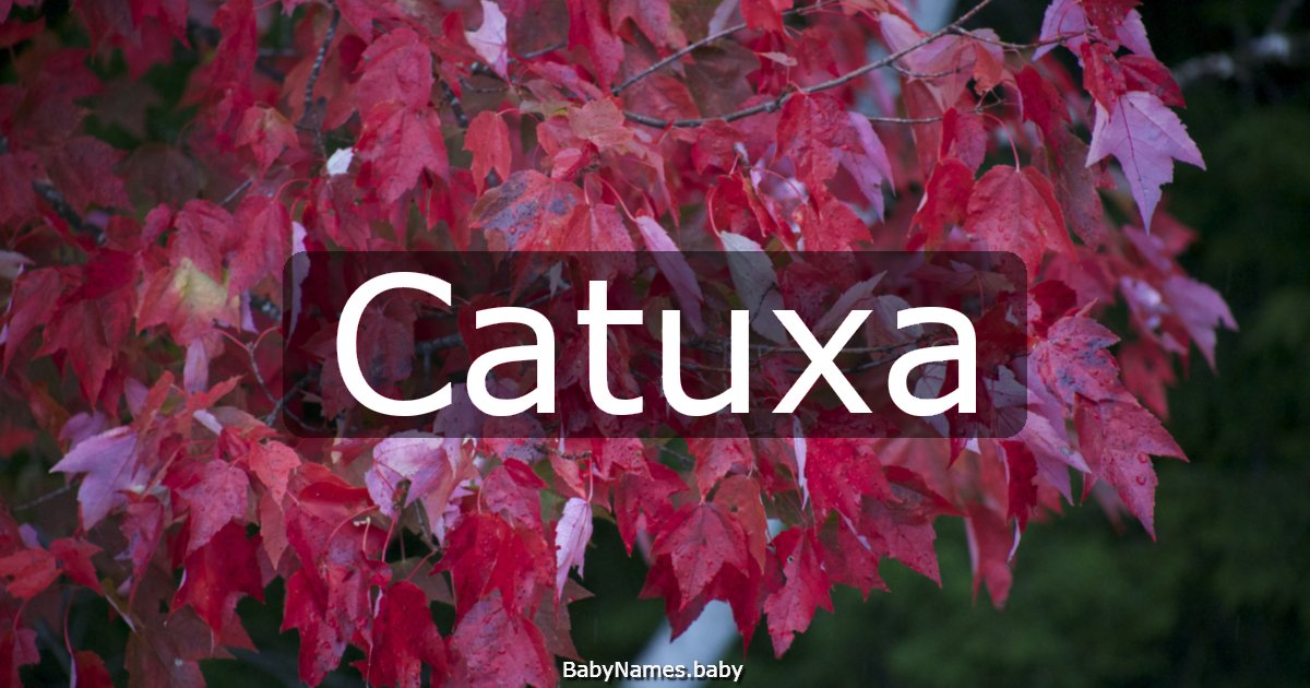 Catuxa