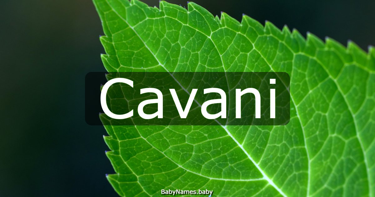 Cavani