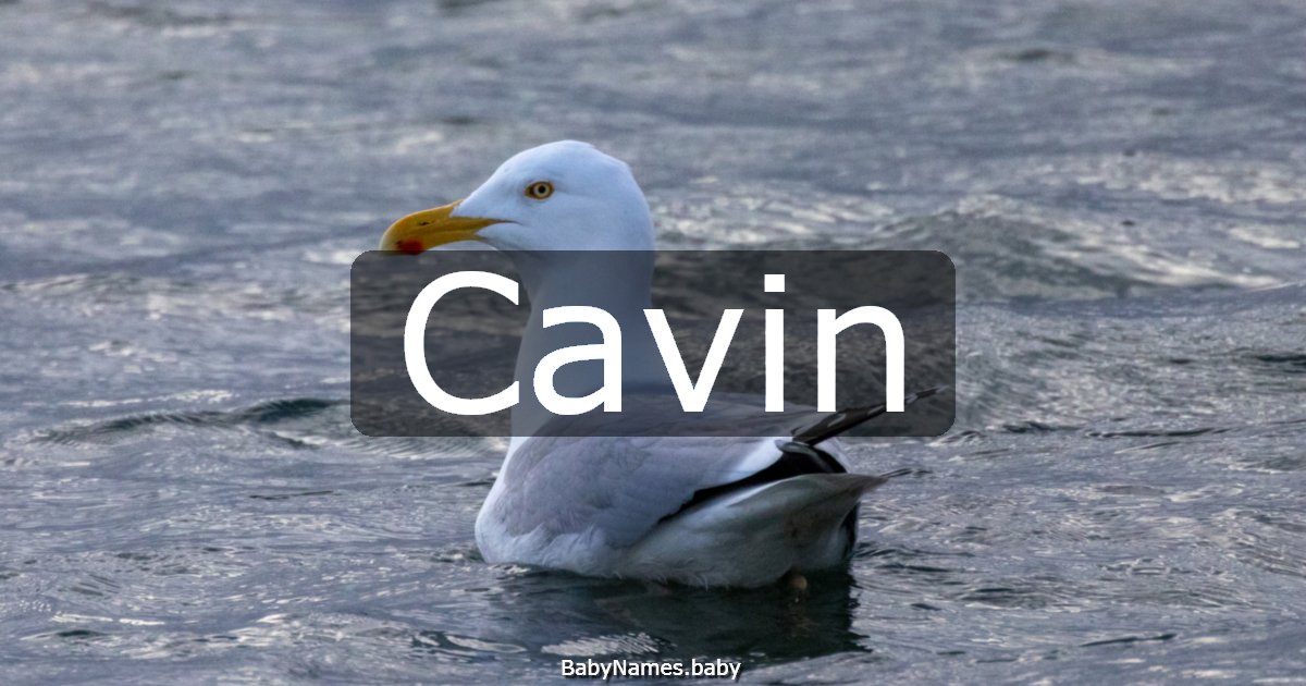 Cavin