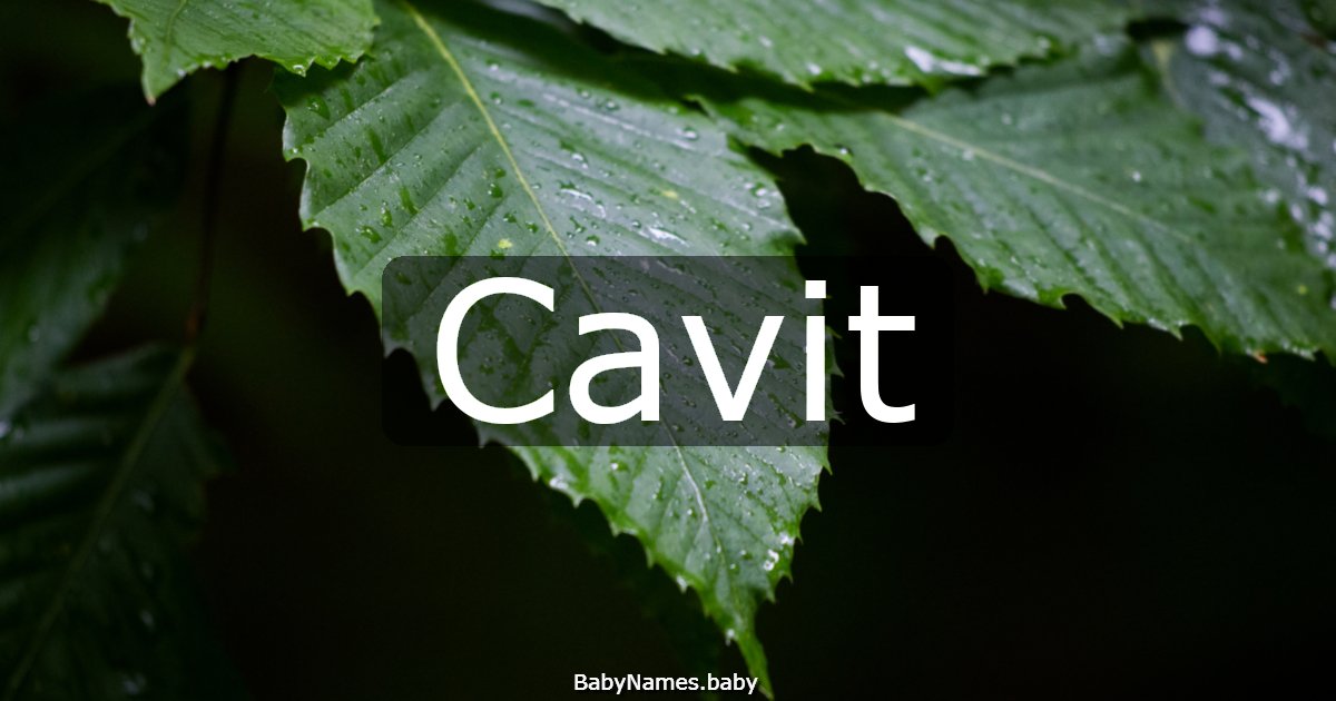 Cavit