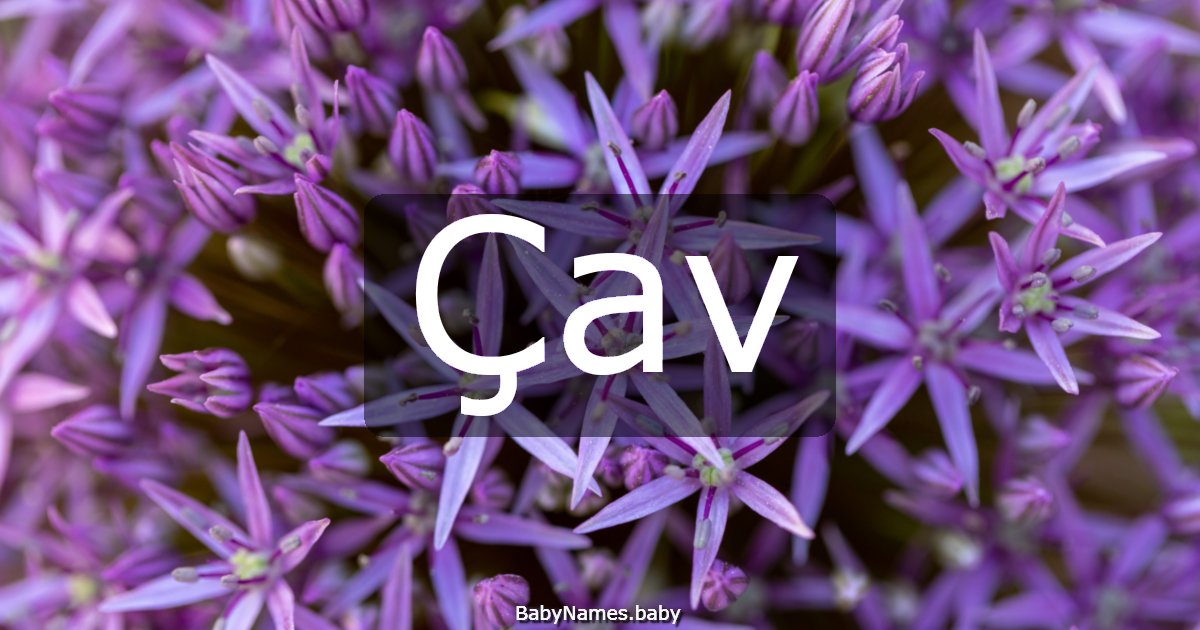 Çav