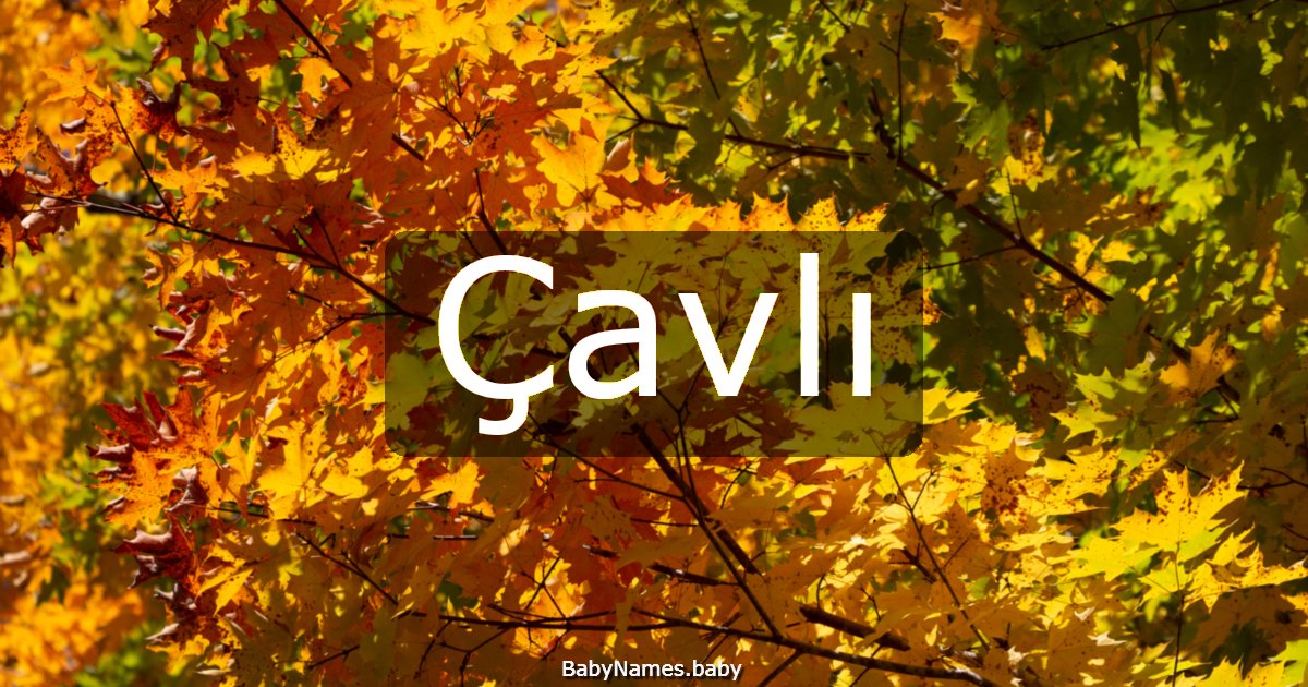 Çavlı