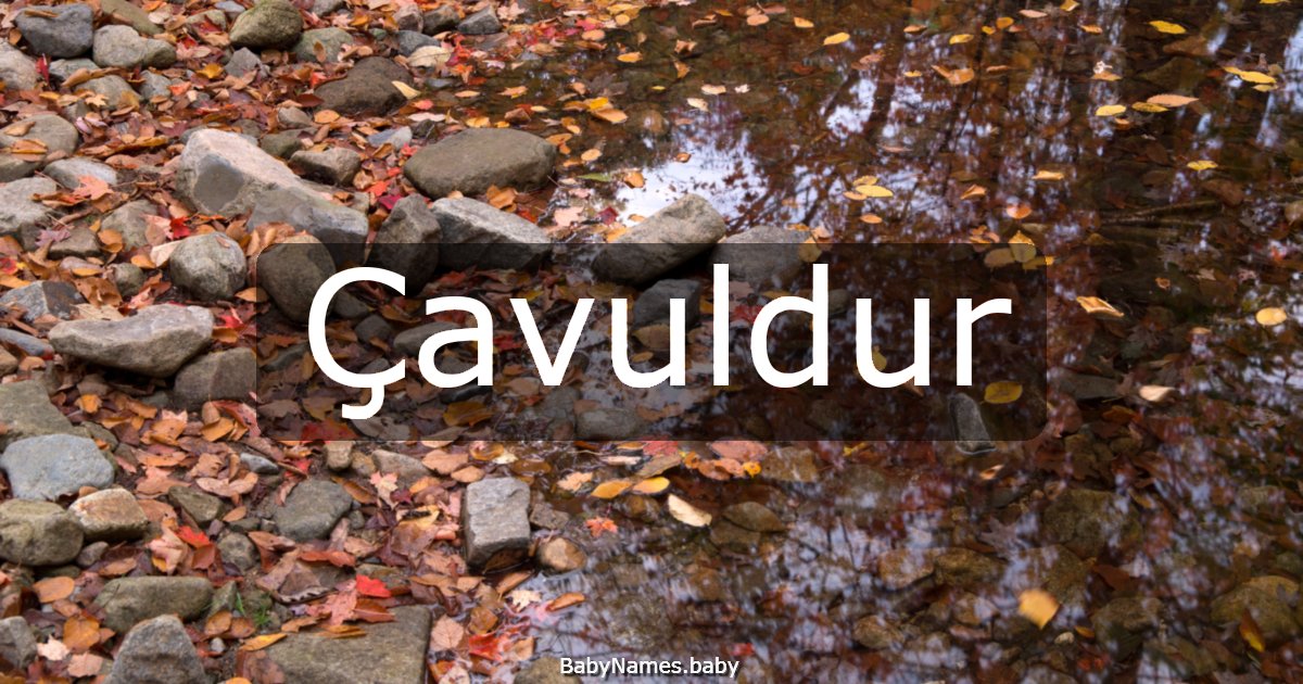 Çavuldur