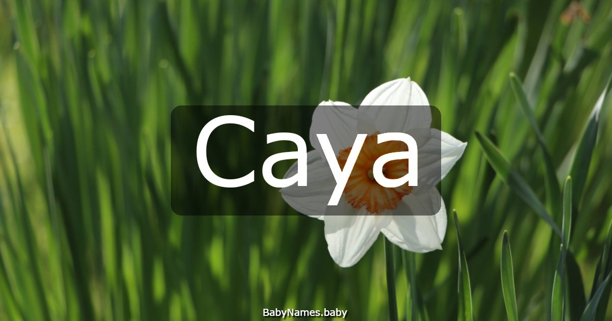 Caya