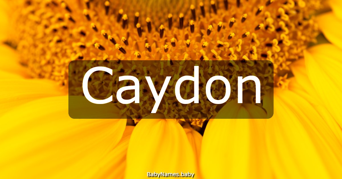 Caydon
