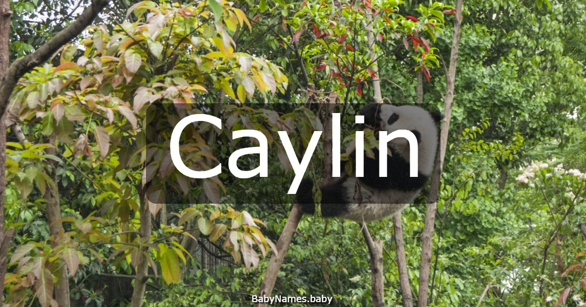 Caylin