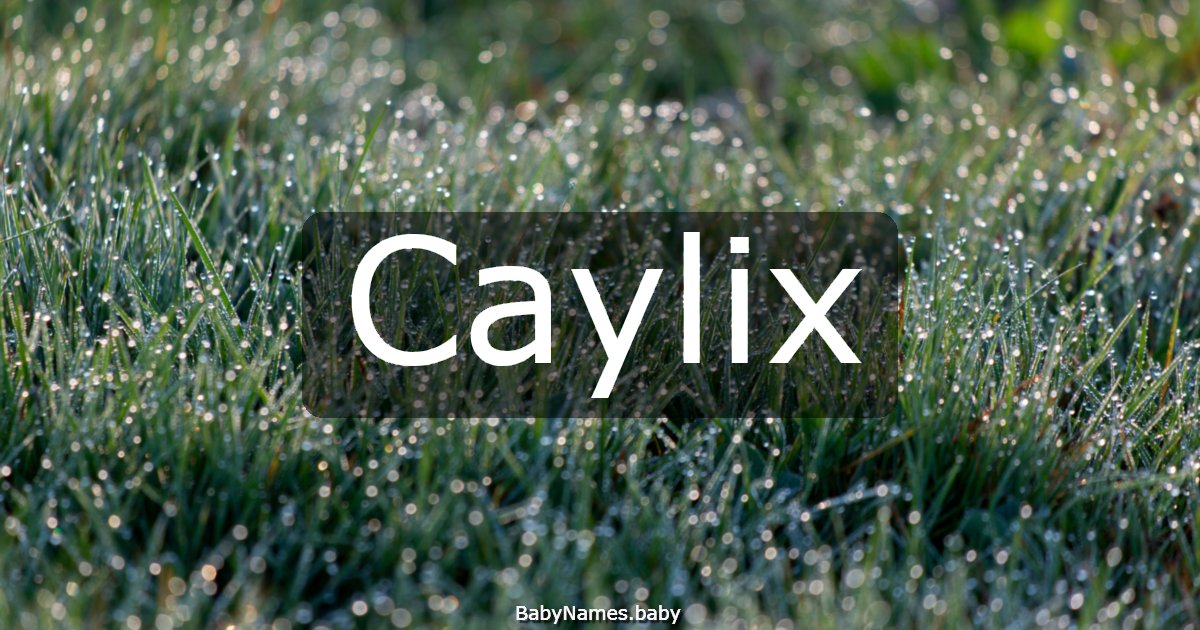 Caylix