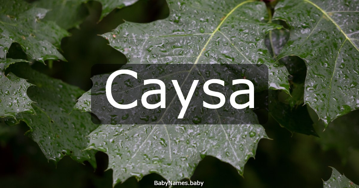 Caysa