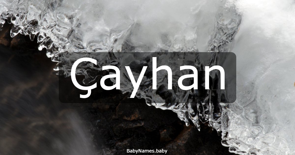 Çayhan
