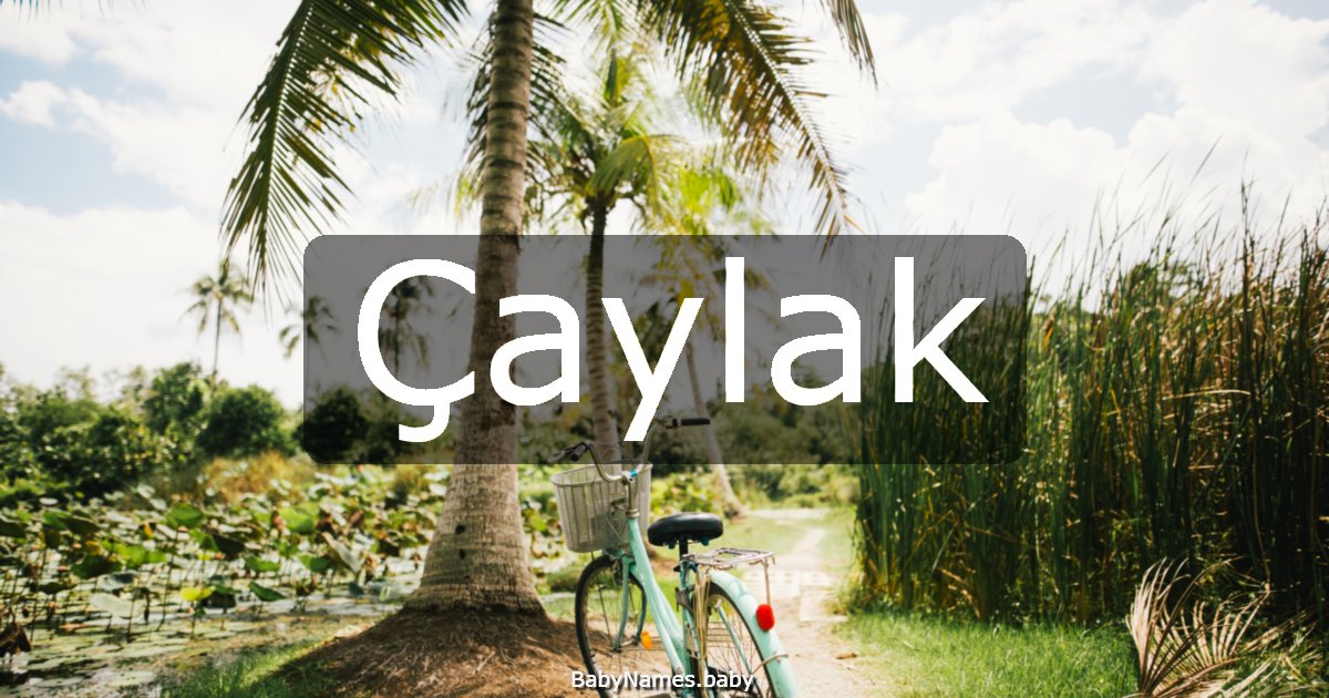 Çaylak