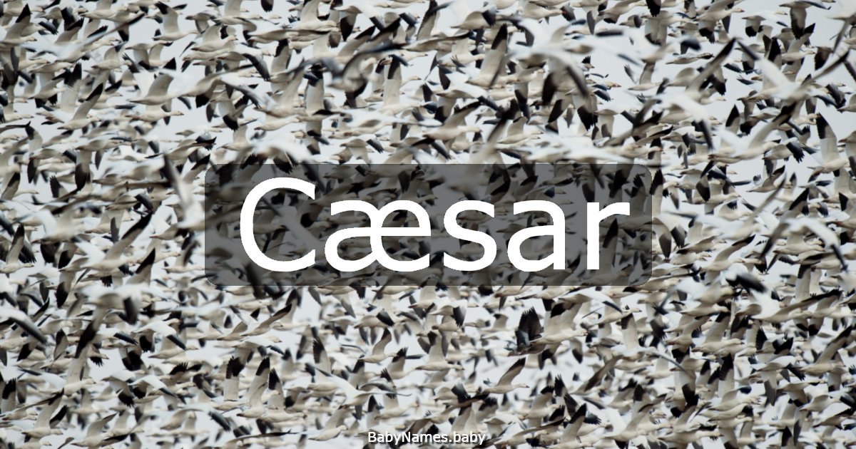 Cæsar
