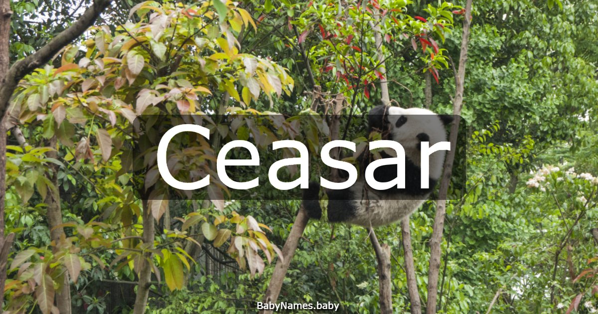 Ceasar